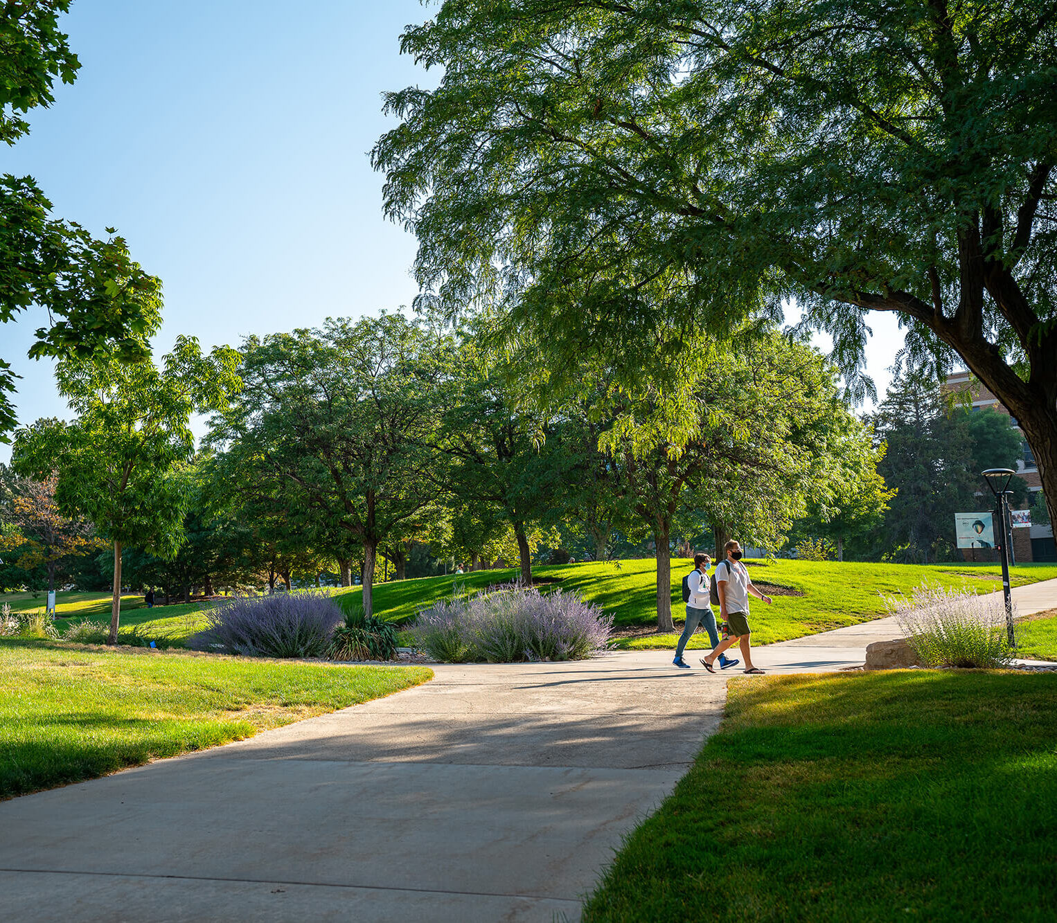 I 20 Information Admissions The University Of Utah