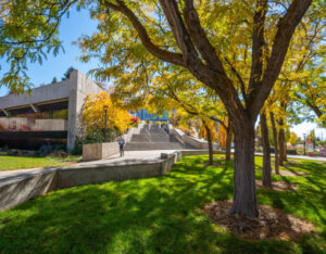 campus in the fall, with a focus on the colors of the leaves in the trees