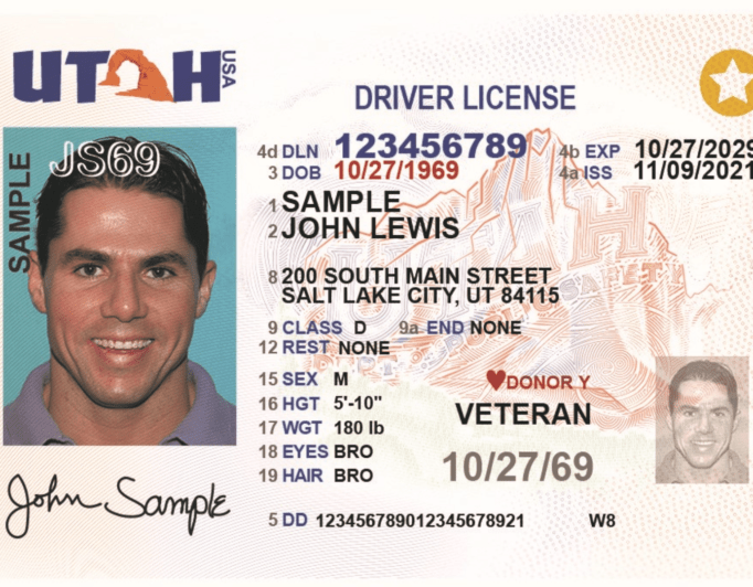 2b960414-5a37-4c2a-ad58-96066a0cdbbe-DPSDL4.jpg-682×532 example of driver's license