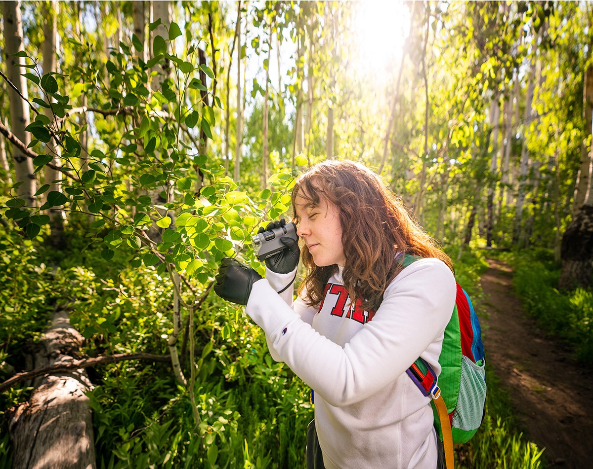 a student with a handheld microscope looking closely at some plants in the woods