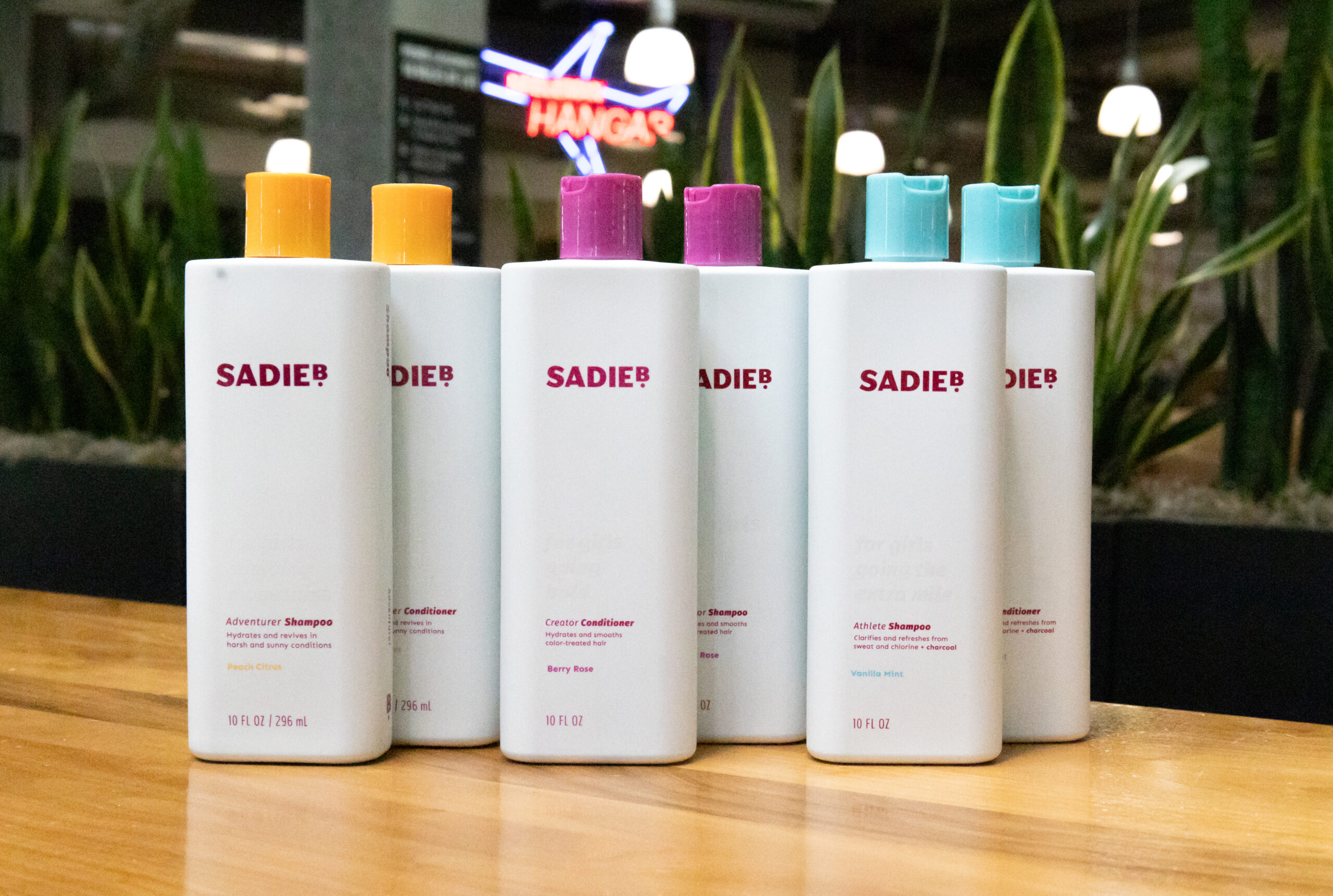 product photo of the SadieB hair care line